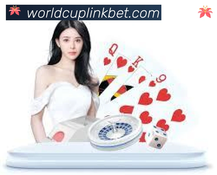企业概况